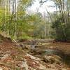 Middle Fork Trail