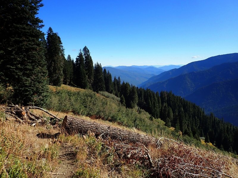 Looking down Canyon Creek from the Box Camp Trail