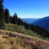 Looking down Canyon Creek from the Box Camp Trail