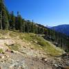 The Box Camp Trail crosses rocky, open ground at it gets closer to the PCT.