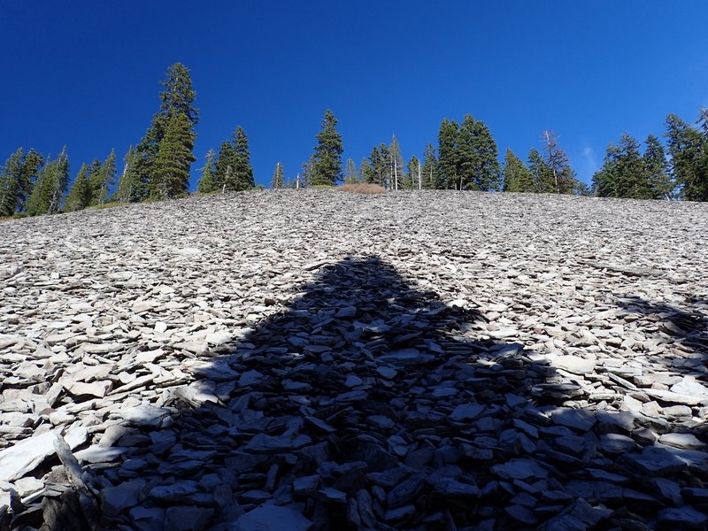 The field of shale boulders along the Nannie Creek Trail.