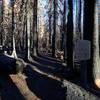 The Cold Springs Trail at the wilderness boundary, showing the impact of the 2017 North Pelican Fire.