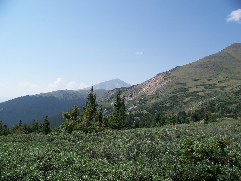 Mt. Elbert and the false summit on its standard route can be clearly seen from near treeline on Mt. Massive.