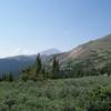 Mt. Elbert and the false summit on its standard route can be clearly seen from near treeline on Mt. Massive.