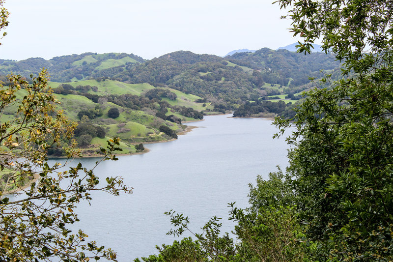 Briones Reservoir from Bear Creek Trail.