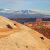 Lathrop Canyon Trail, Canyonlands NP, near the canyon rim just before the trail drops down into the canyon.