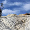 North end of Mammoth Hot Springs Terraces