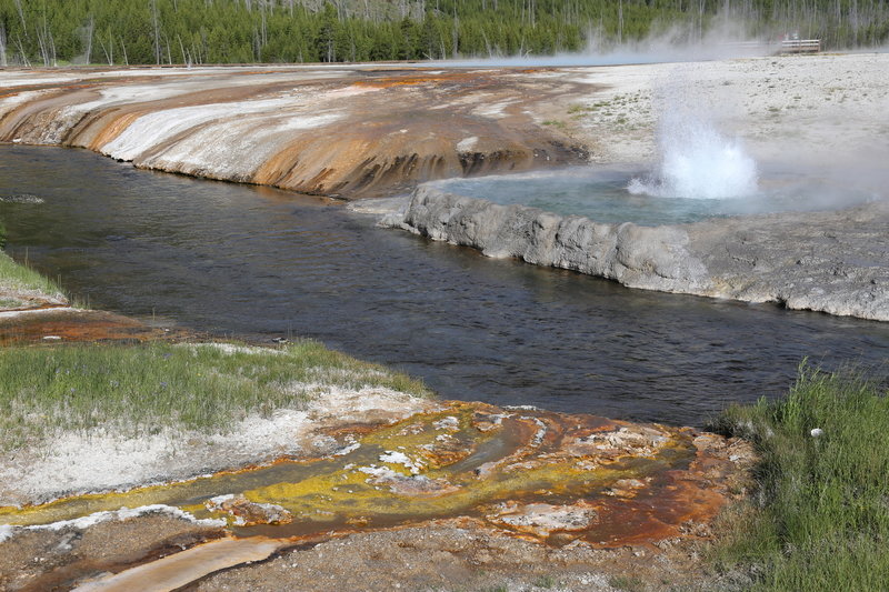 Cliff Geyser, Black Sand Basin, Yellowstone NP