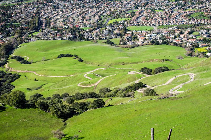 Winding Ohlone Wilderness Trail