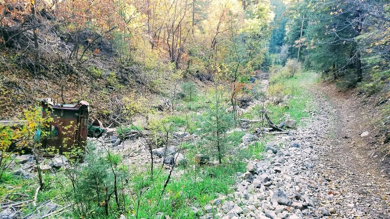 Remains of an old blue truck with Toboggan Canyon Trail (T5003) off to the right.