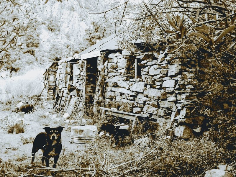 Frenchy's Cabin- Beveridge Canyon, Inyo Mountains Wilderness, CA