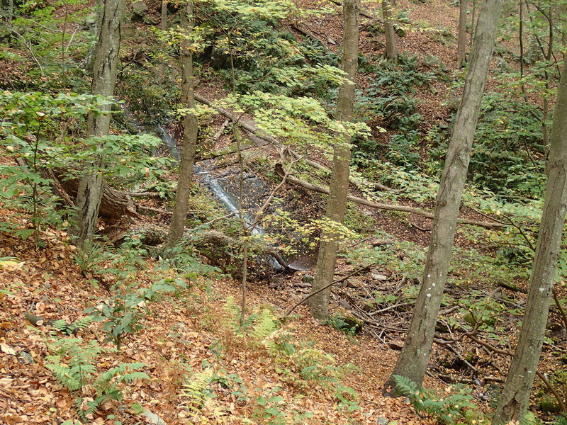 Laurel Falls, Garvey Spring Trail.