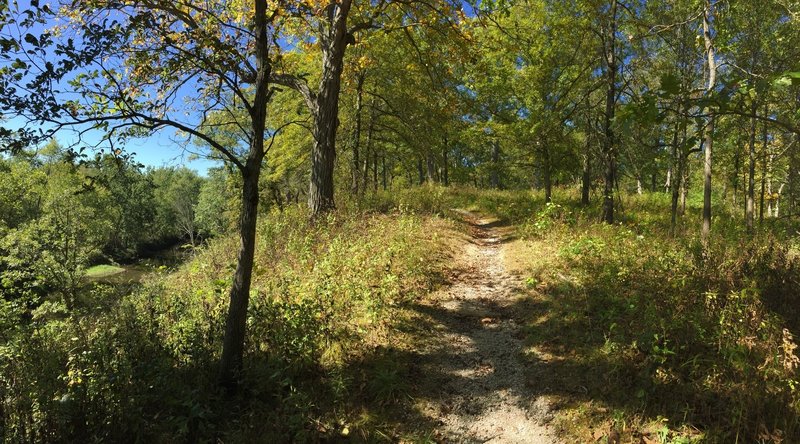 Climb a short ridge for rewarding views of the Mackinaw River.