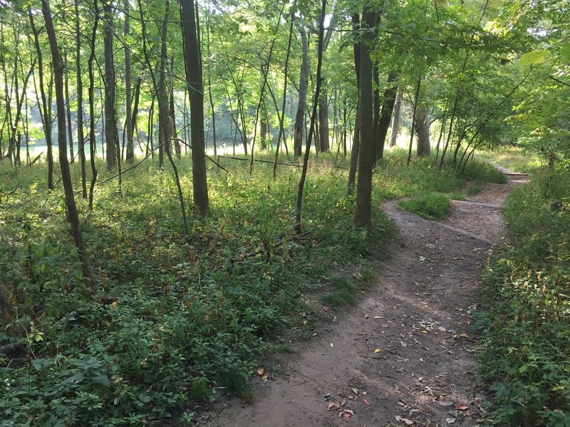 Western hill on the Oak and Hickory Upland Loop.