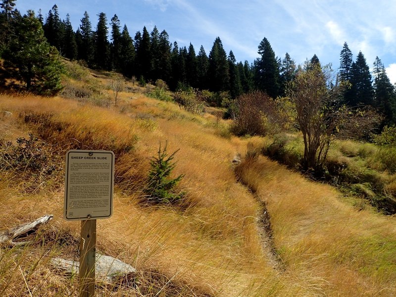 Where the trail crosses the 1983 landslide.