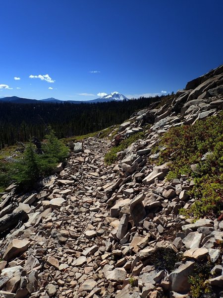 Along the Divide Trail, with Mount McLoughlin in the distance