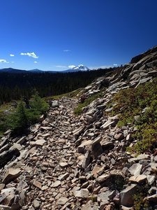 Along the Divide Trail, with Mount McLoughlin in the distance