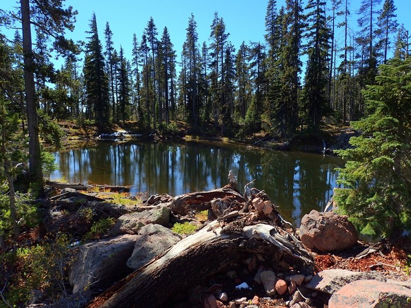 One of the small, unnamed lakes along the Divide Trail