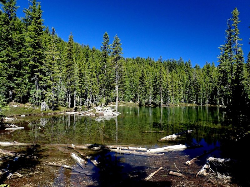 A small, unnamed lake near the bottom of the Snow Lakes Trail