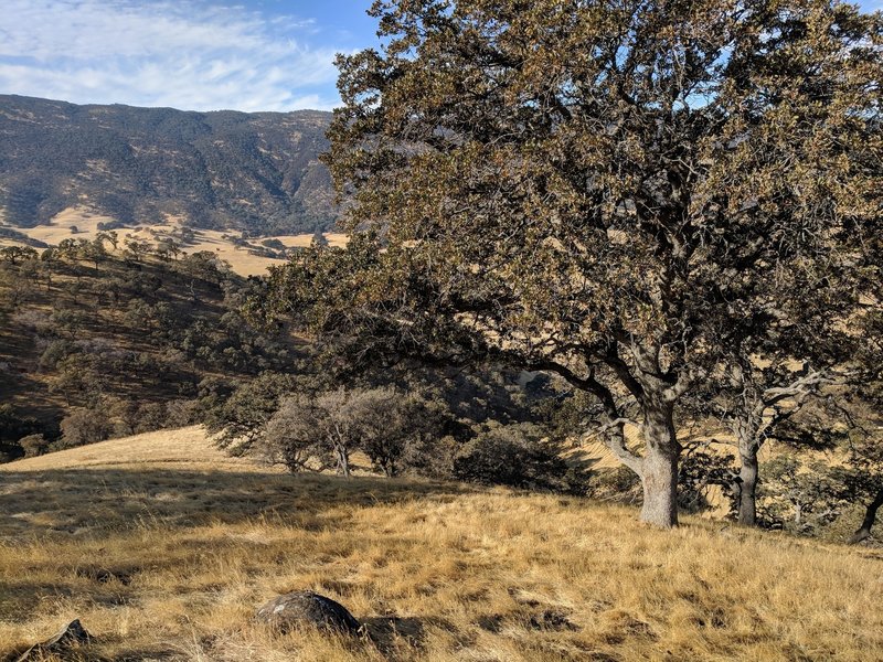 Typical view on the backside of the trail