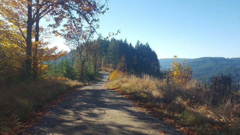 Old peak road in the fall.