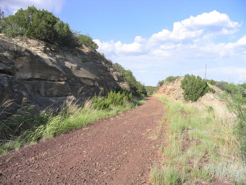 Image of trail, most of the trail looks similar to this.