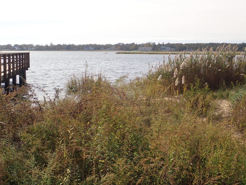 Black Fish Cove on Navesink River