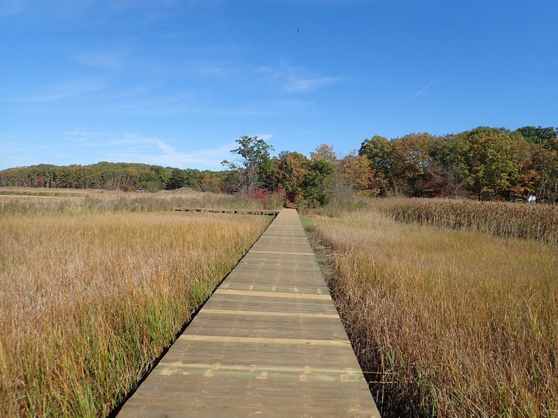 Crabbing Bridge boardwalk