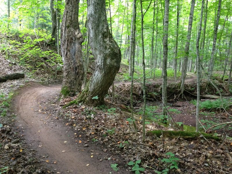 Flat bottom section of Outer Limits Loop.