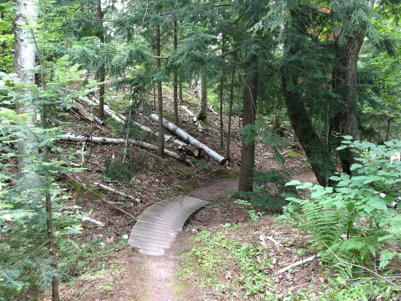 Gently bermed bridge under the hemlocks as Inner Peace Loop joins Center Creek.