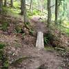 A skinny bridge on Edwards Trail