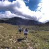 The altitude fields of Serra do Cipo.