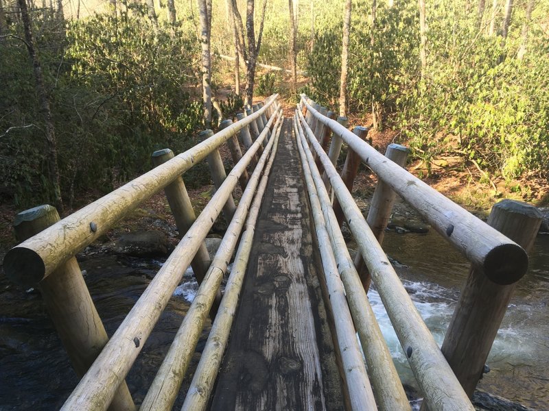 Footbridge over Big Snowbird Creek. Cross creek here to campsite with junction to Snowbird Alternate trail (64A).