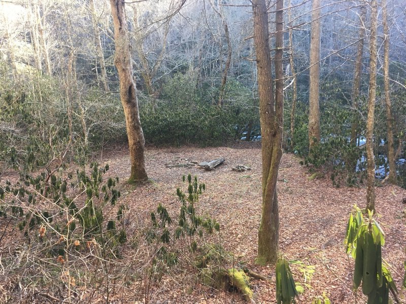 Campsite on Snowbird Creek Trail near Sassafras Creek.