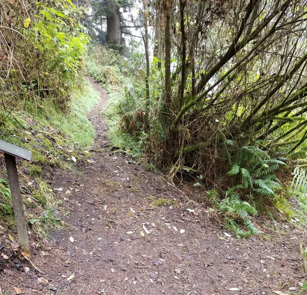 There are trail map signs at all trail intersections.