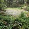 A view of Zipporah pond.