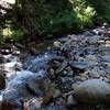 Crossing the South Fork at low water.