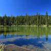 View of the very clear Beal Lake.