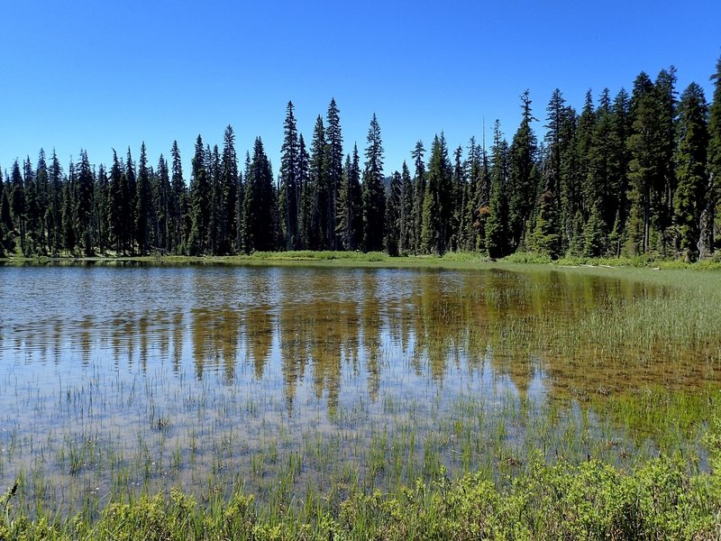 Mud Lake.