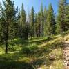 Along the Varney Creek Trail