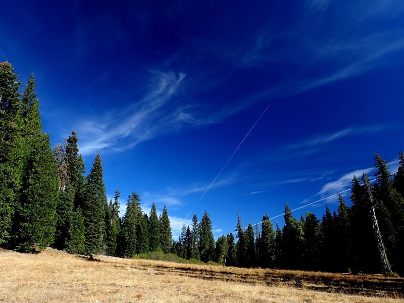 Meadows and forest in the Red Rock Valley