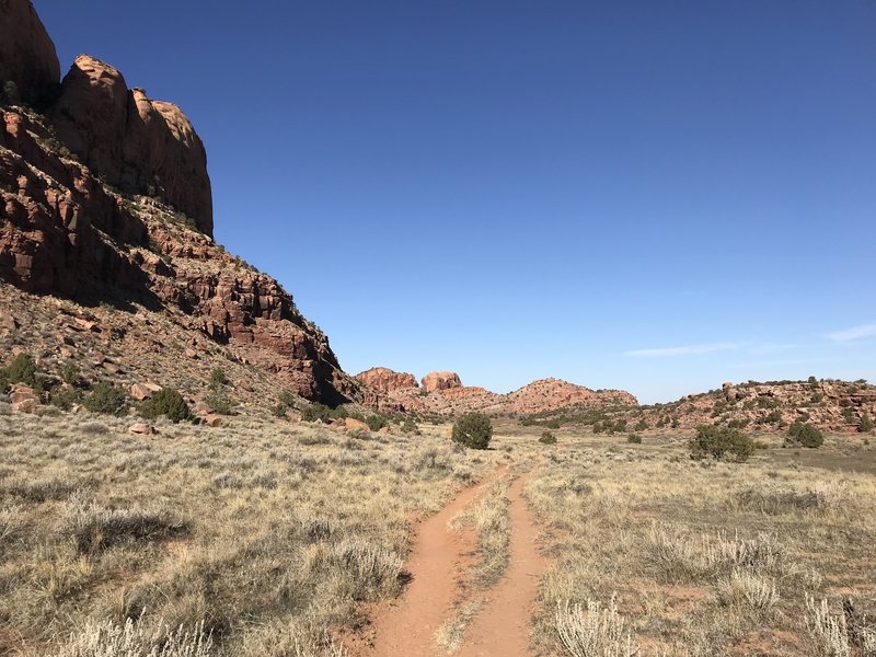 Hidden Valley. Please use existing trails and avoid creating new tracks by trampling vegetation and fragile biological soil crusts.