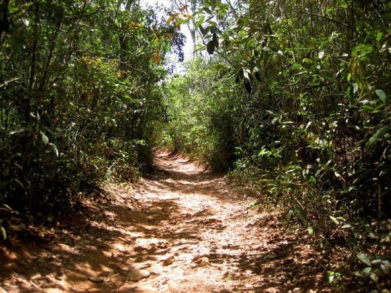 The trail to the waterfall