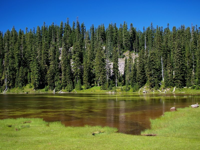 A small lake along the Indian Heaven Trail