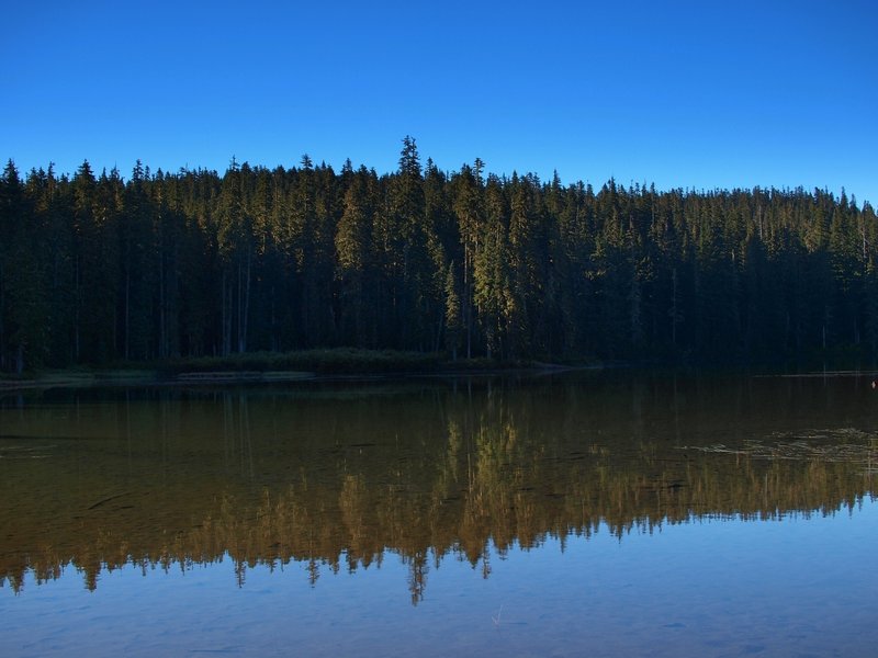 Placid Lake