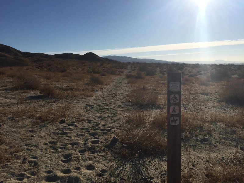 Heading east through sandy soil.