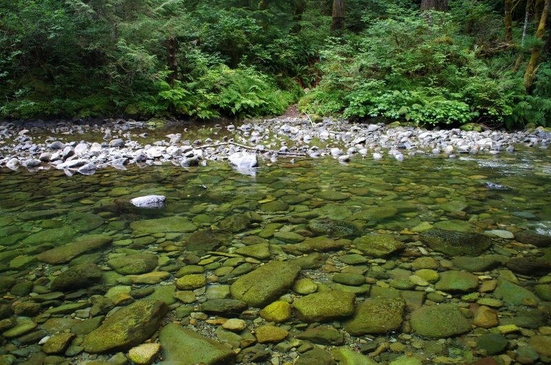 The ford across Siouxon Creek