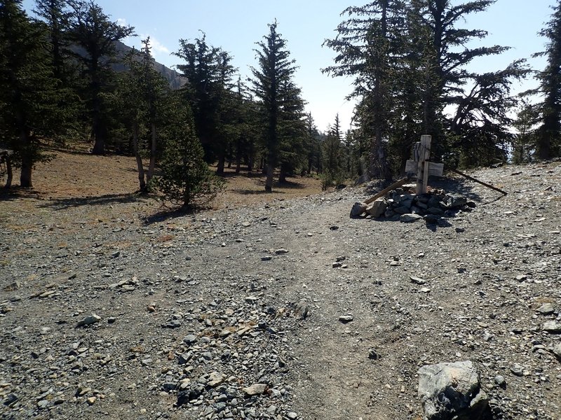 The Sisson-Callahan Trail crosses Deadfall Summit below Mount Eddy