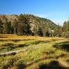 Meadows near Middle Deadfall Lake