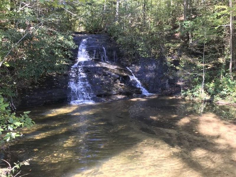 Lower Wildcat Falls with shallow pool, tucked among the trees right next to the road.